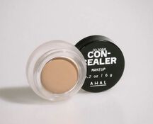 CONCEALER (CORRECTOR)